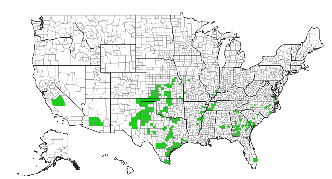Sugarcane aphid distribution 2017